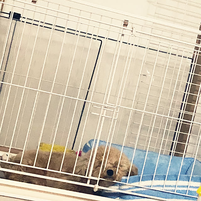 coscosさんの実例写真