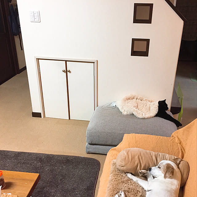 nanaさんの実例写真