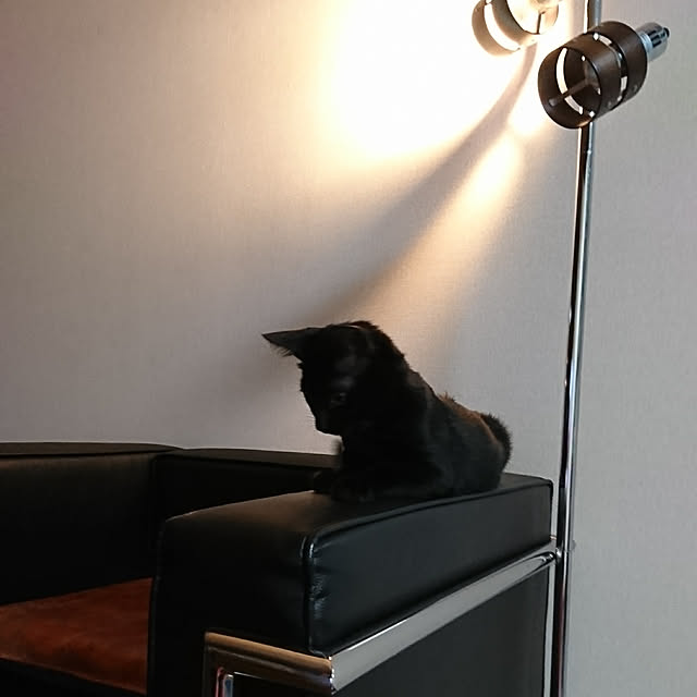 Kさんの実例写真