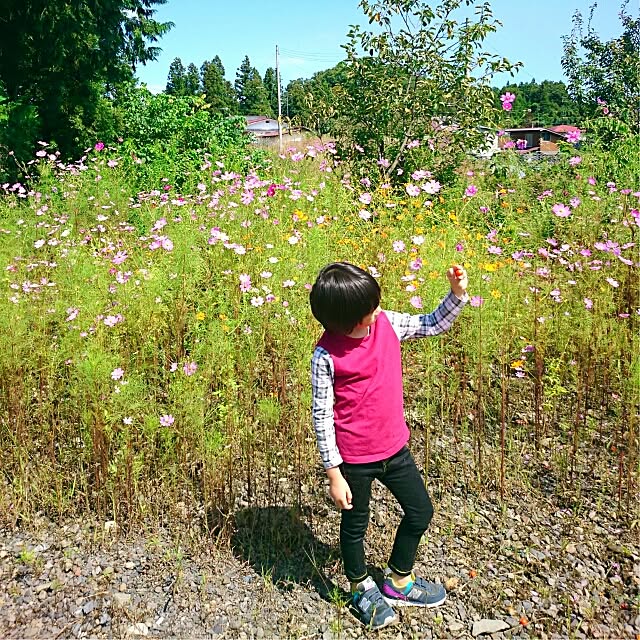 MIARAさんの実例写真