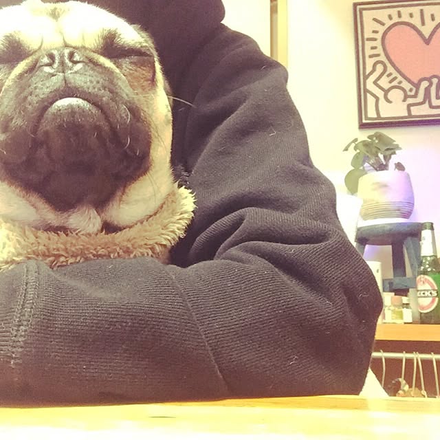 kokeshiさんの実例写真