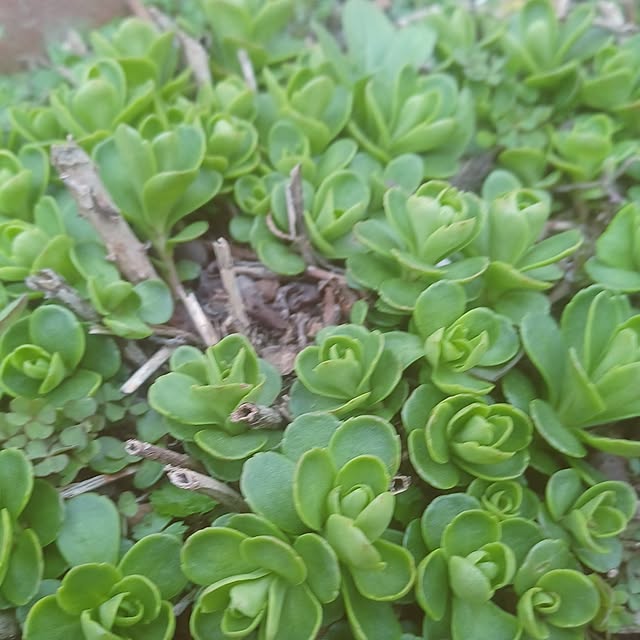 hiro.904さんの実例写真