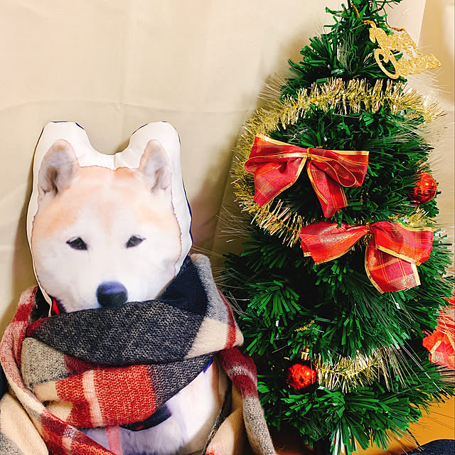 harukaさんの実例写真