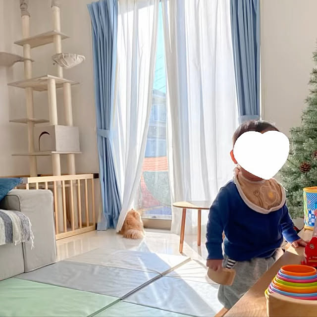 moimoiさんの実例写真