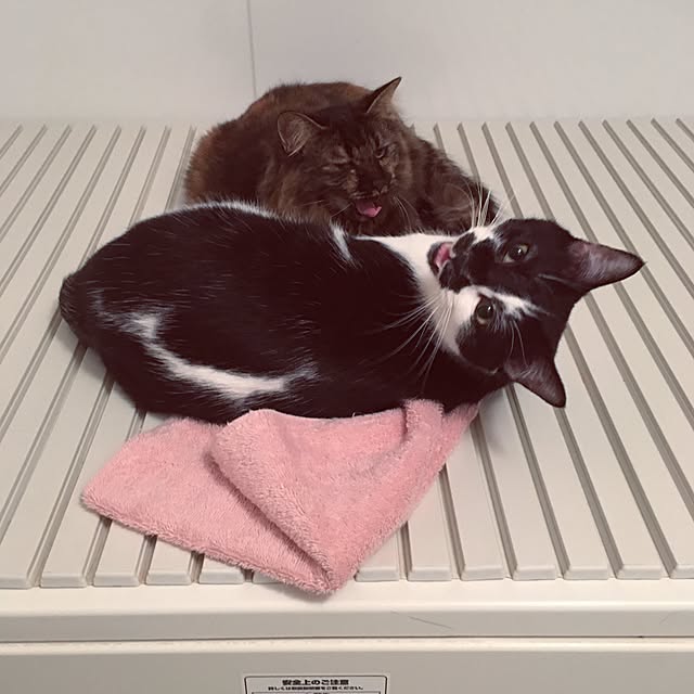 mikomaruさんの実例写真