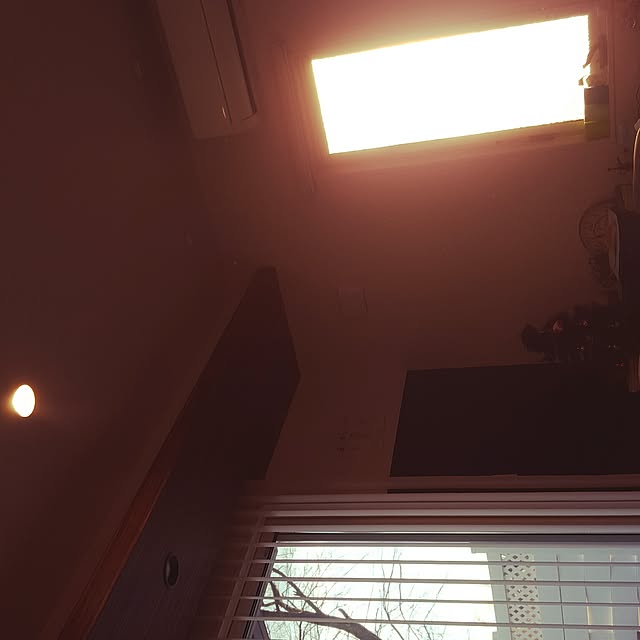 shojimonicaさんの実例写真