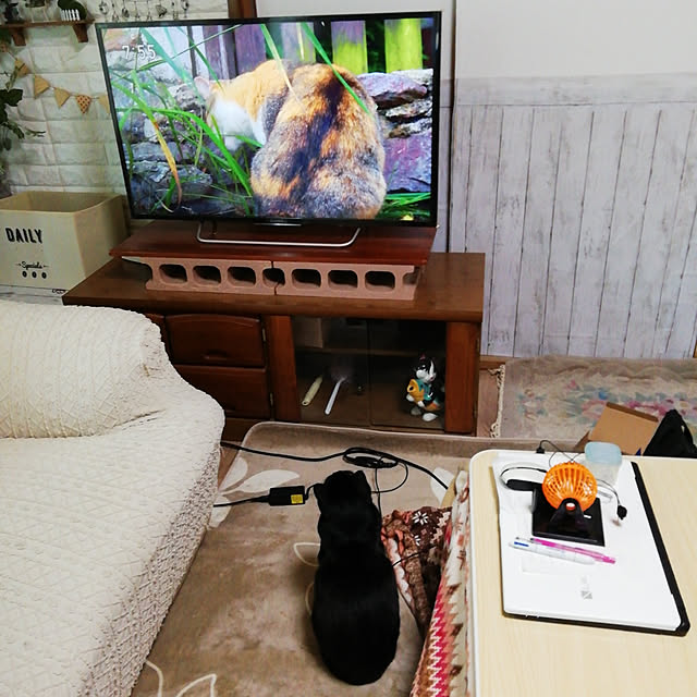 Tomopさんの実例写真