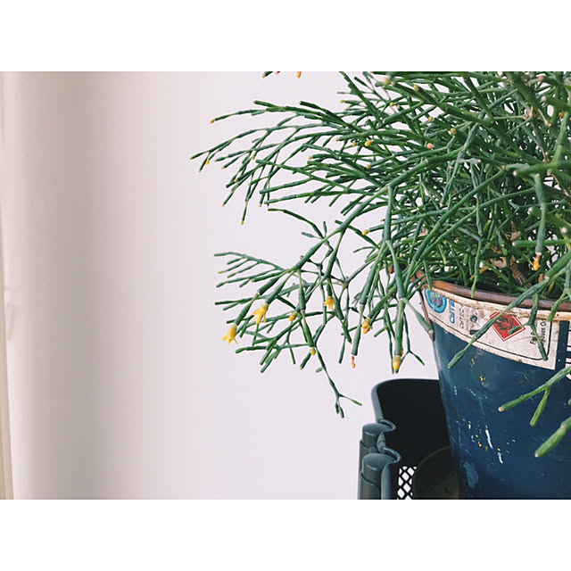 km_home17さんの実例写真