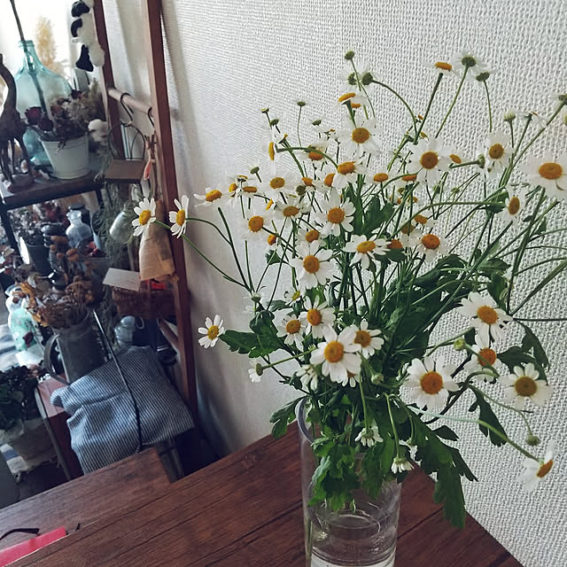 pinkoさんの実例写真