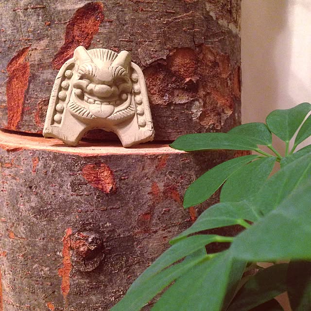 saさんの実例写真