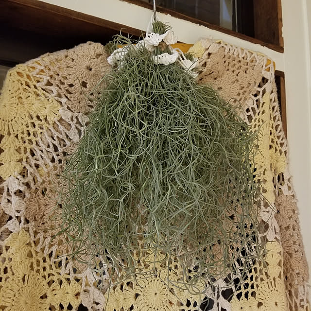kaLさんの実例写真