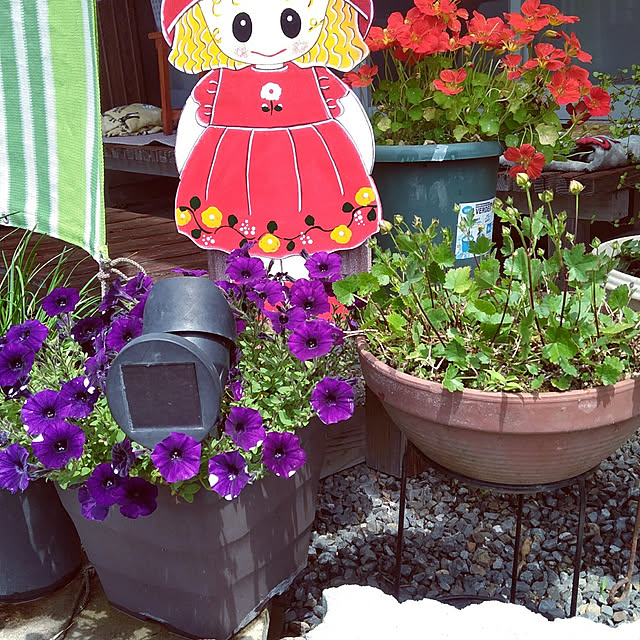 実例写真
