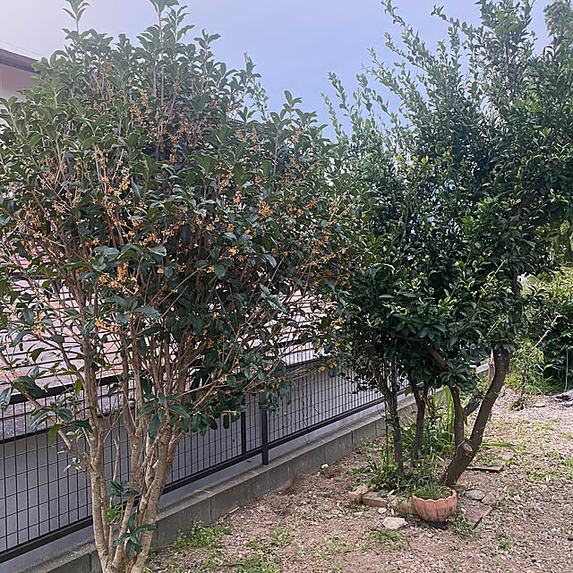 kotaroさんの部屋