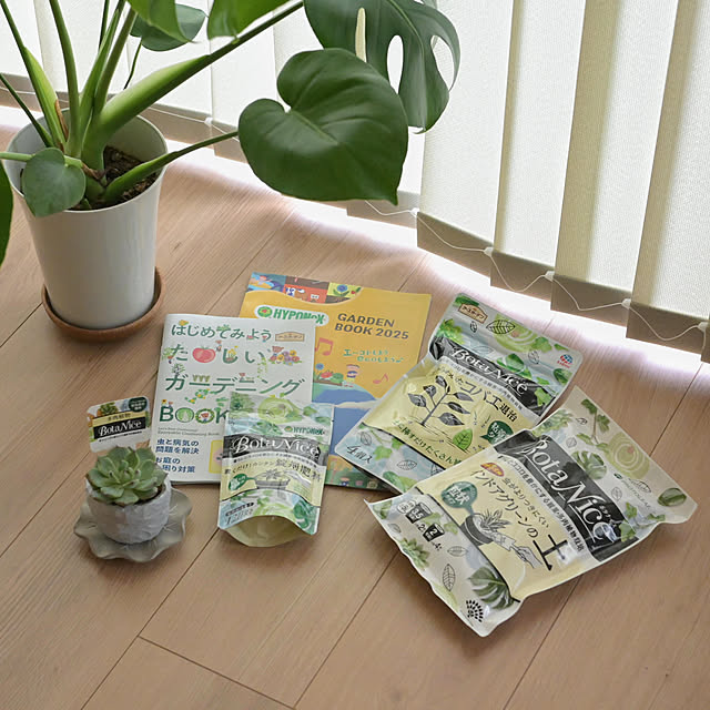 Ayaさんの部屋