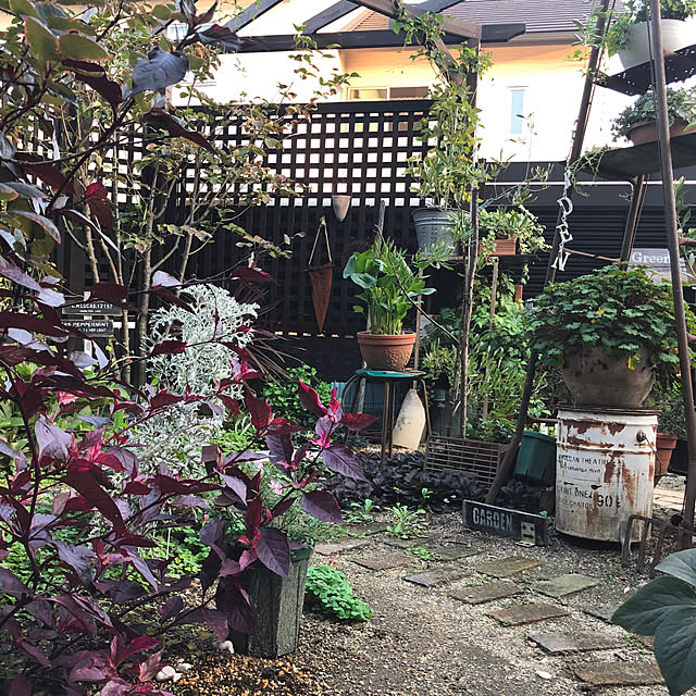 bibianさんの実例写真