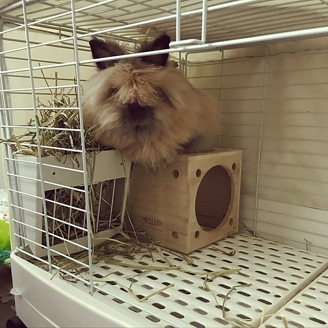 mさんの実例写真