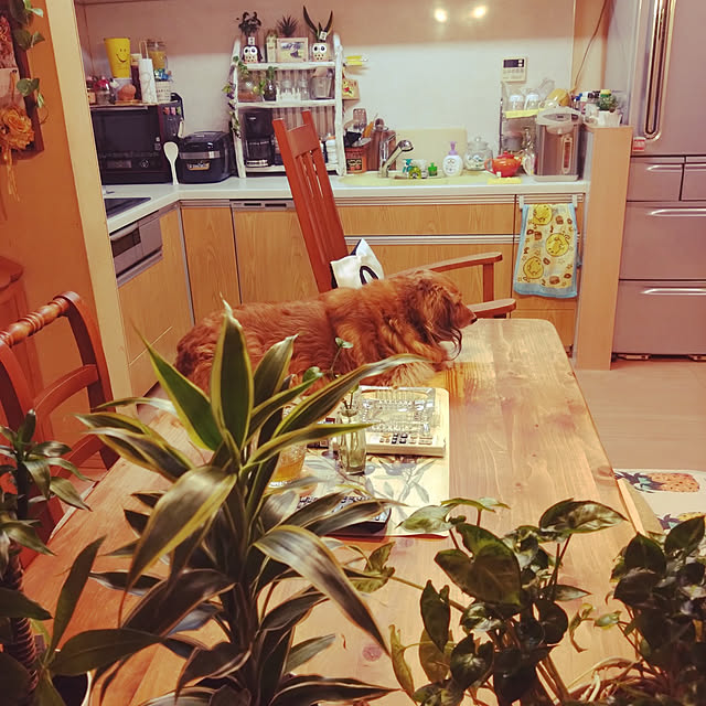 rikachakoさんの実例写真