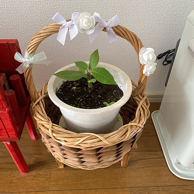 OGさんの部屋