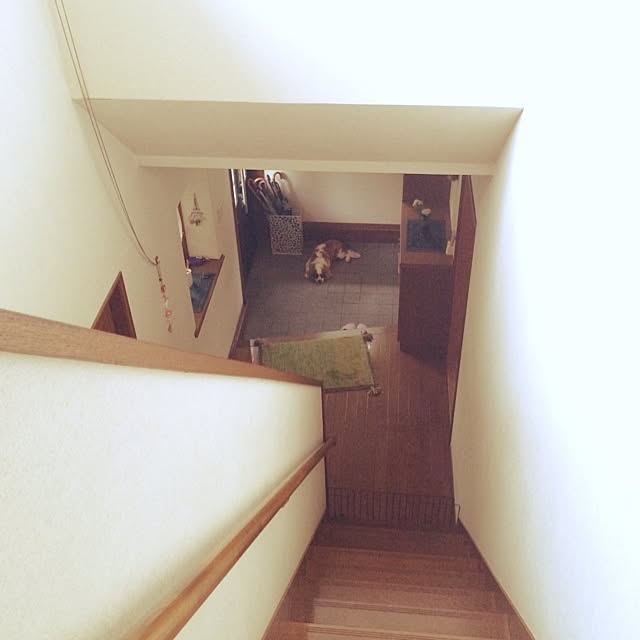 chiropappaさんの実例写真