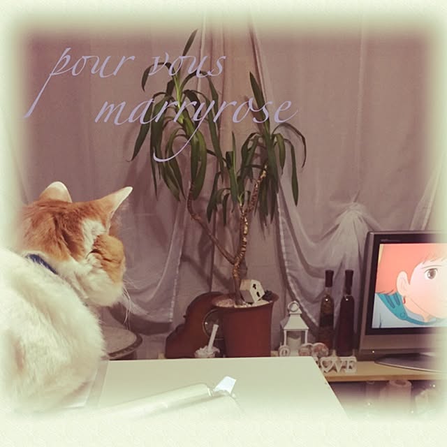 maria.rさんの実例写真