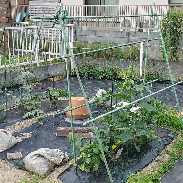 KTKYTさんの部屋