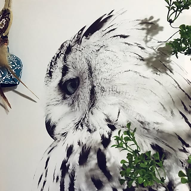 masu...さんの実例写真