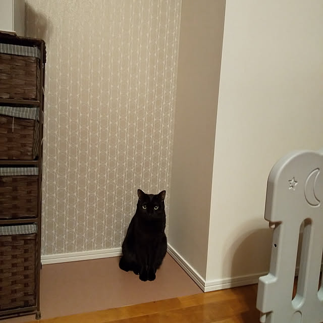 haruissaさんの実例写真