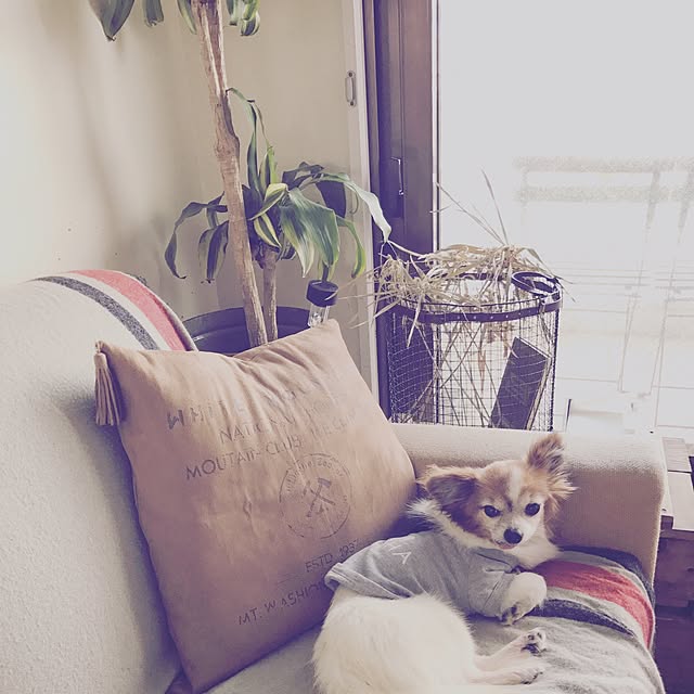 flowerさんの実例写真
