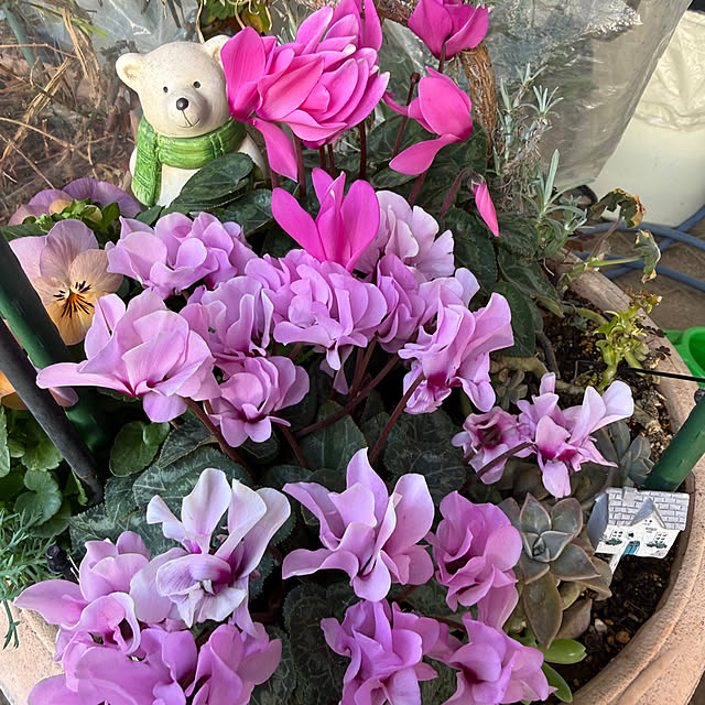 Aqettyさんの部屋