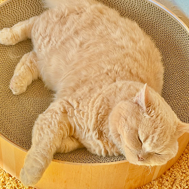 naokoさんの部屋