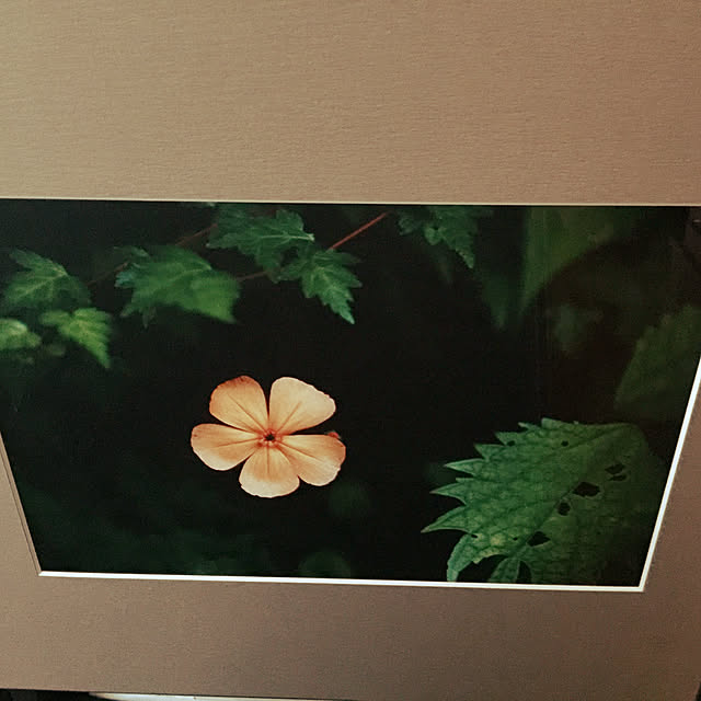 Jennyさんの実例写真