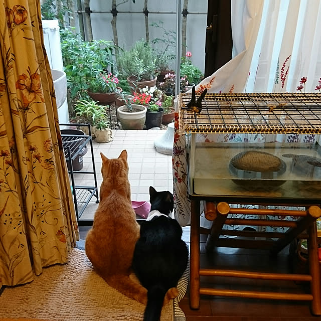 okyosan101さんの実例写真