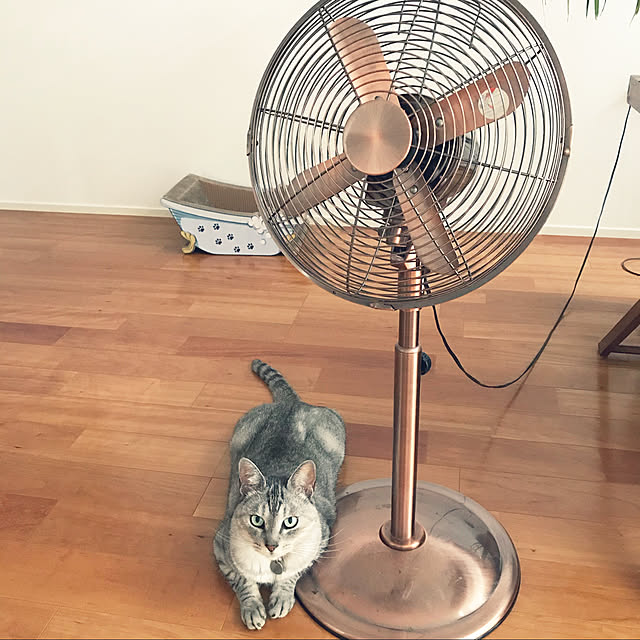 maroさんの実例写真