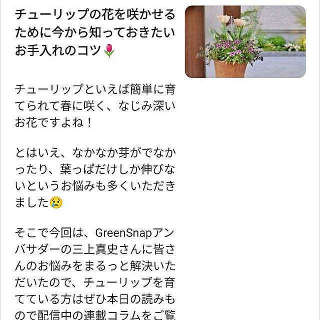 keh_xxxさんの実例写真