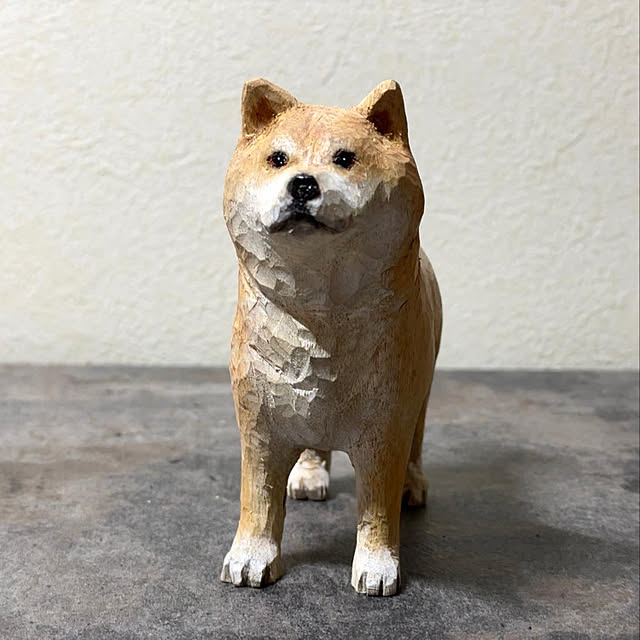 009さんの実例写真