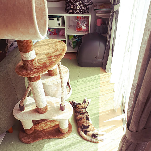 aiさんの実例写真