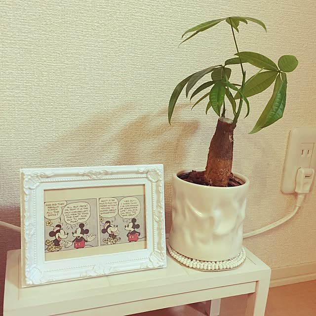 Kumikoさんの実例写真