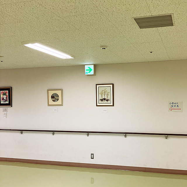 koshiregutyoさんの部屋