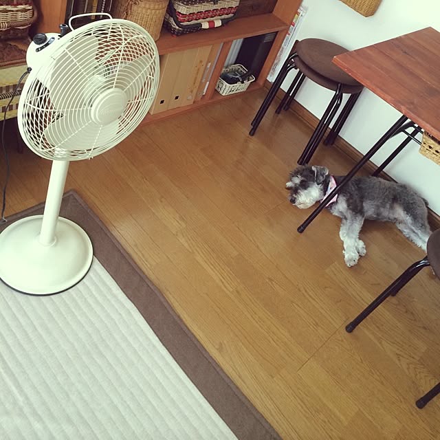 tamaharuさんの実例写真