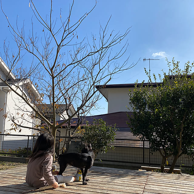 kotaroさんの実例写真
