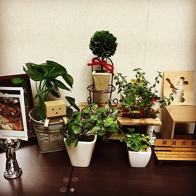 masakn09さんの実例写真