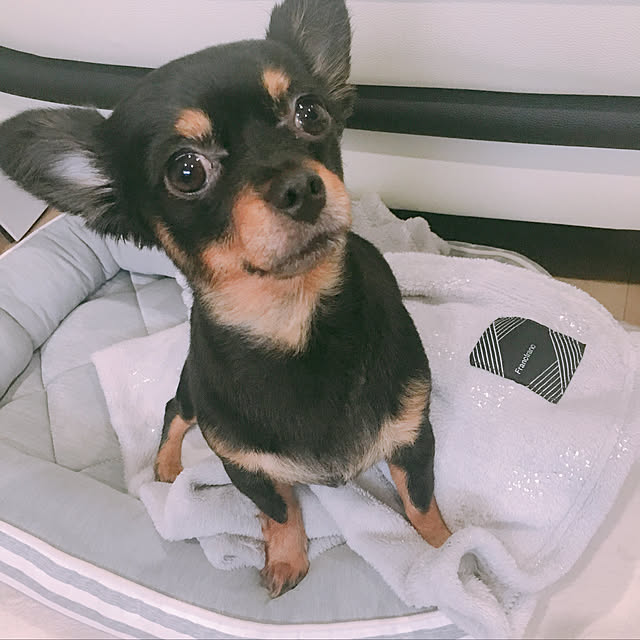 miitanさんの実例写真