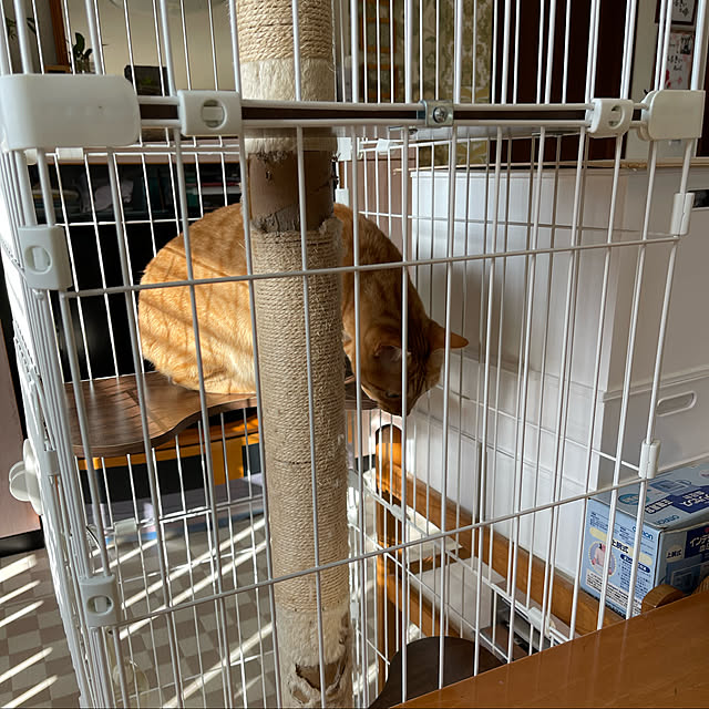 kikiさんの実例写真