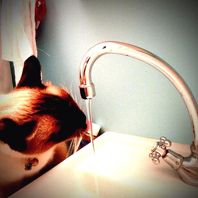 tomoさんの実例写真