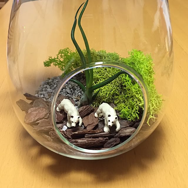 chiekoさんの実例写真