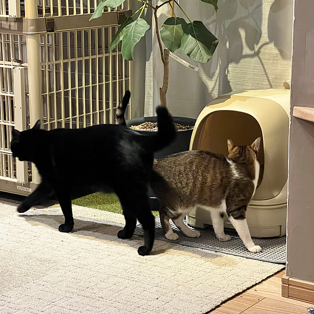 Com816さんの実例写真