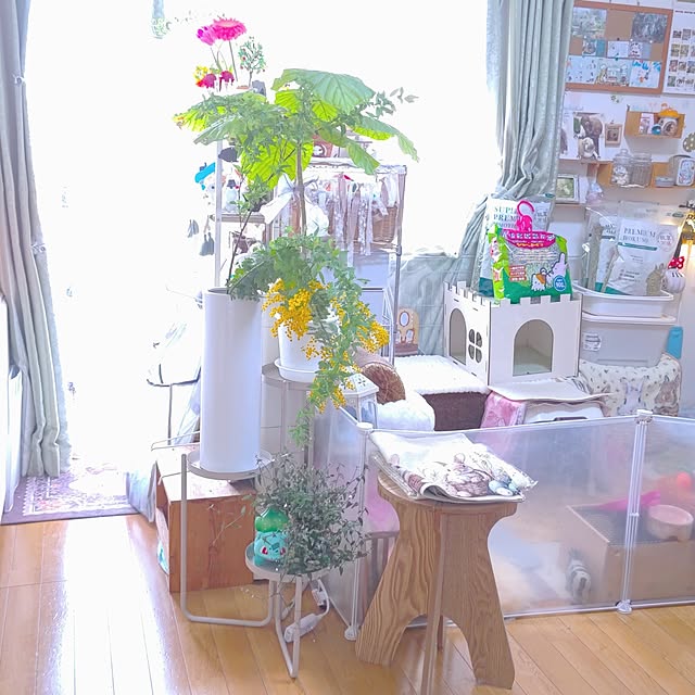 mariaさんの実例写真