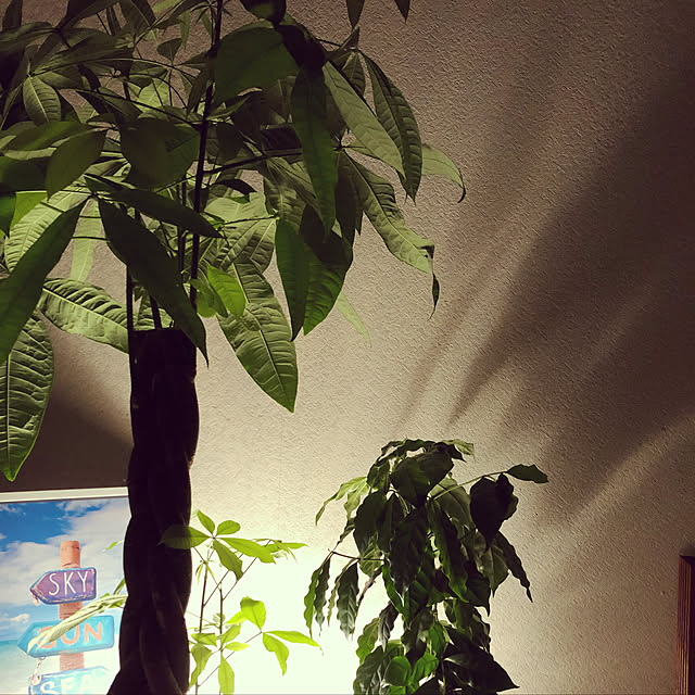 e-ri5さんの実例写真