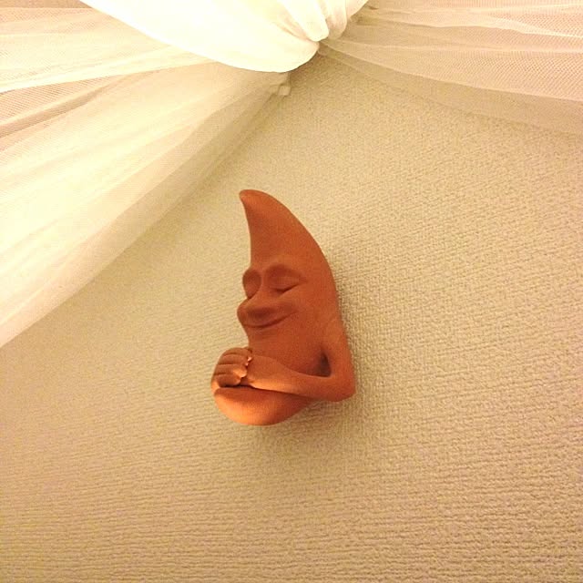 sanaさんの実例写真