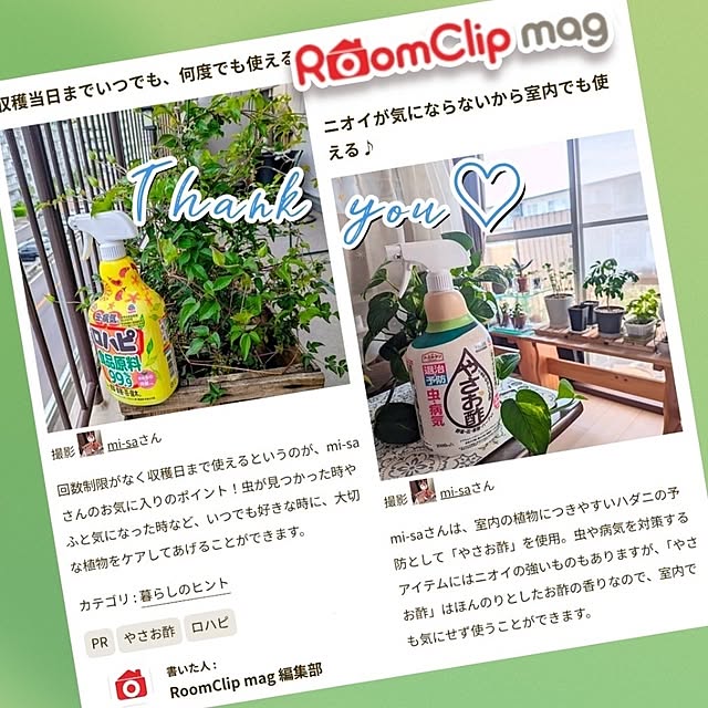 mi-saさんの部屋
